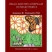 Hello, Said The Caterpillar To The Butterfly