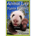 Animal Life Funny & Weird Land Mammals: Learn with Amazing Photos and Fun Facts About Animals and Land Mammals