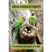 Indian Ringneck Parrots: Everything You Need To Know: Fun Facts About Indian Ringneck