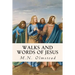 Walks and Words of Jesus