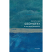 Geometry: A Very Short Introduction