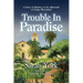Trouble in Paradise: A Story of Ministry in the Aftermath of Clergy Misconduct