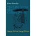 The Life in the Sky Comes Down: Essays, Stories, Essay/Story