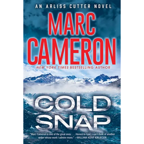 Cold Snap: An Action Packed Novel of Suspense