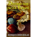 Divination with Runes: A Beginner's Guide to Rune Casting