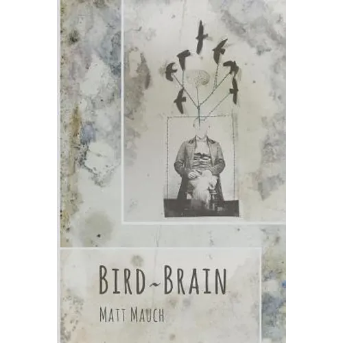 Bird Brain