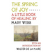 The Spring of Joy: A Little Book of Healing