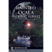 Haunted Ocala National Forest