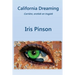 California Dreaming: Carriere, erotiek en tragiek