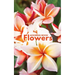 Address Book Flowers