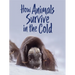 How Animals Survive in the Cold: English Edition