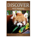 Red Pandas - Discover: Early reader's wildlife photography book
