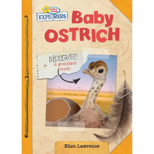Baby Ostrich