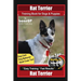 Rat Terrier Training Book for Dogs & Puppies By BoneUP DOG Training, Dog Care, Dog Behavior, Hand Cues Too! Are You Ready to Bone Up? Easy Training *