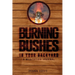 Burning Bushes in Your Backyard