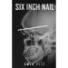 Six Inch Nail