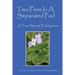Two Peas In A Separated Pod: A True Story of Adoption