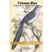 L'oiseau Bleu: Lettres d'une passion éphémere
