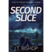Second Slice: A Novel of Suspense (Book 2)