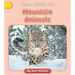 Mountain Animals
