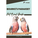 Bourke's Parakeet: Pet bird guide