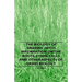 The Biology of Grasses - With Information on the Roots, Stems, Cells and Other Aspects of Grass Biology