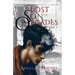 The Lost Son of Orcades, Book 1: The Illyds of Prydain's Heroes