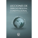 Lecciones de Derecho Procesa Constitucional: Procesos judiciales de naturaleza constitucional
