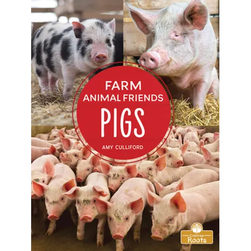 Pigs