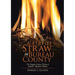 A Fire of Straw in Bureau County: The Forgotten Utopian Dream of Lamoille's Rosemont Domain