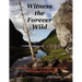 Witness the Forever Wild, A Guide to Favorite Hikes around the Adirondack High Peaks