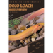 Dojo Loach: From Novice to Expert. Comprehensive Aquarium Fish Guide