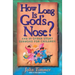 How Long Is God's Nose?: And 89 Other Story Sermons for Children