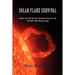 Solar Flare Survival: Protect Yourself and Your Electronics from the Sun and Emp's with Faraday Cages