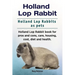 Holland Lop Rabbit. Holland Lop Rabbits as pets. Holland Lop Rabbit book for pros and cons, care, housing, cost, diet and health.