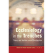 Ecclesiology in the Trenches: Theory and Method Under Construction