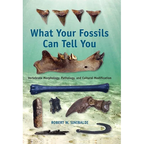 What Your Fossils Can Tell You: Vertebrate Morphology, Pathology, and Cultural Modification