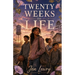 Twenty Weeks to Life: YA Christian Romance Novel