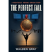The Perfect Fall: A Righteous Wrong Origin Story