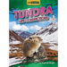 Tundra Life Connections