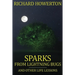 Sparks from Lightning Bugs and Other Life Lessons