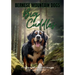 Bernese Mountain Dogs Big Cuddles: A Picturebook for Young Readers
