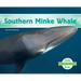 Southern Minke Whale