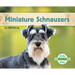 Miniature Schnauzers