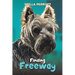 Finding Freeway