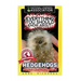 Everything You Should Know About: Hedgehogs