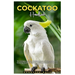 Cockatoo Handbook: The complete guide to Cockatoos care, training, cage setup, breeding, health, behaviour, nutrition, socialization, and lots more.