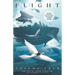 Flight Volume Four