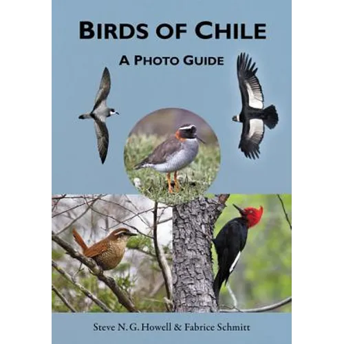 Birds of Chile: A Photo Guide