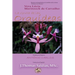 La Gruta de Las Orquídeas